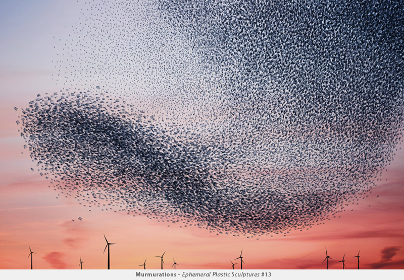 Illustration for article titled Photographer transforms plastic bags into beautiful bird flocks